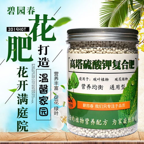 通用花肥与生物质能技术在家庭园艺中的应用