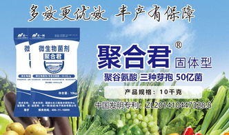 5个层面近30个标准，助推微生物肥料产业快速发展