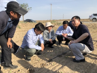 智慧滴灌助增产 引得肥水润良田--走近兵团‘最美科技工作者’的生物有机肥料研发之路