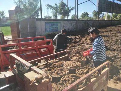 顺丰洱海环保股份荣膺“云南省百户优强民营企业”称号，生物质能技术服务引领绿色新篇章