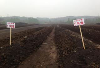 微生物肥料 绿色农业的新引擎，生物质能技术服务的市场价值