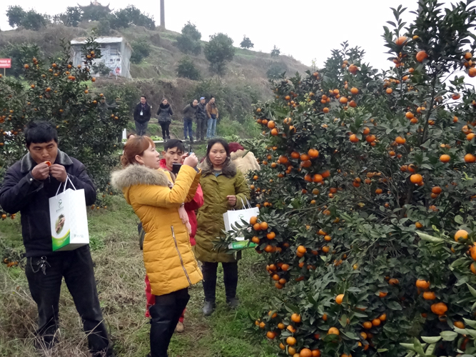 重庆拓阳科技ldquo;生物有机肥使用交流会&rdquo;在重庆市长寿区顺利召开