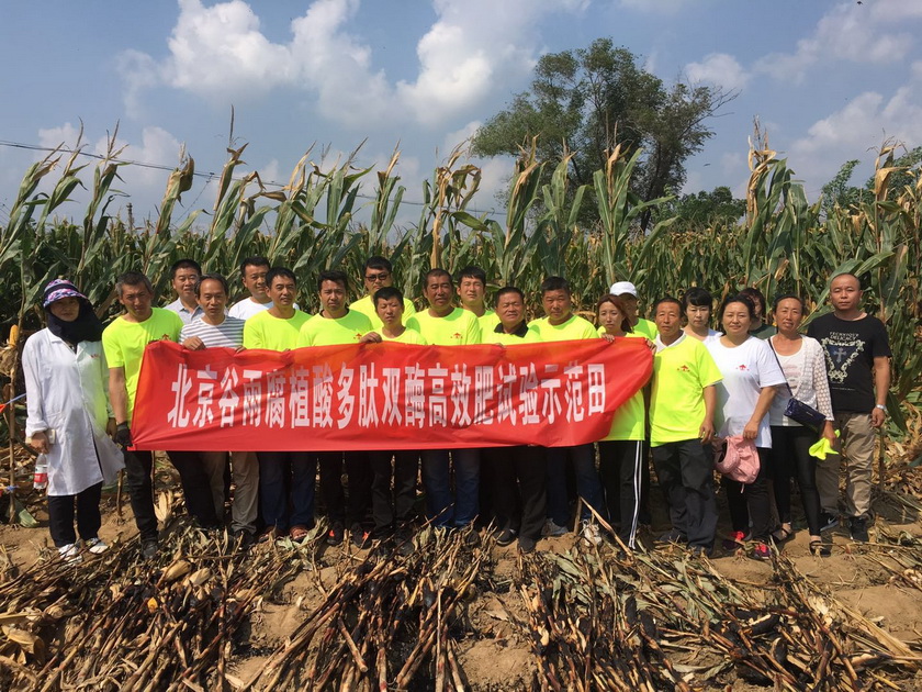 绿色智造赋能现代农业——绿得利5800吨烟草专用肥发往山东全过程及生物有机肥研发解析