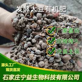 河北生物菌与生物质能技术服务 绿色能源的未来之路
